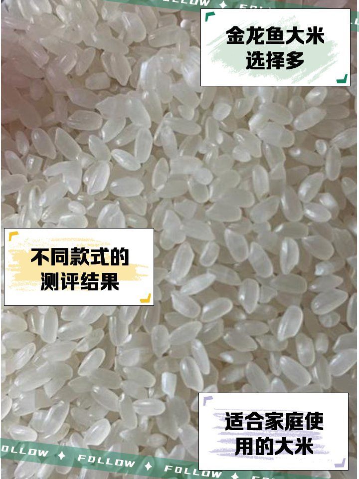 金龍魚哪個系列最受歡迎，金龍魚哪個系列性價比最高
