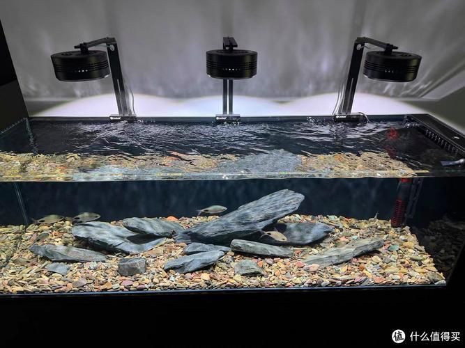 老漁匠魚缸的質量如何？，老漁匠魚缸怎么樣？