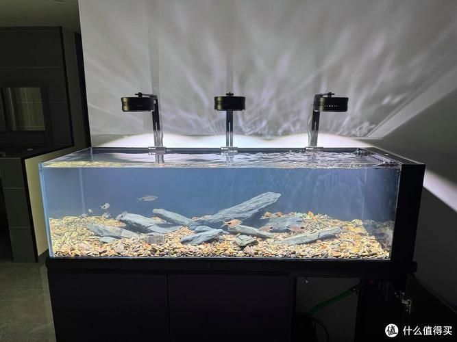 老漁匠魚缸的質量如何？，老漁匠魚缸怎么樣？