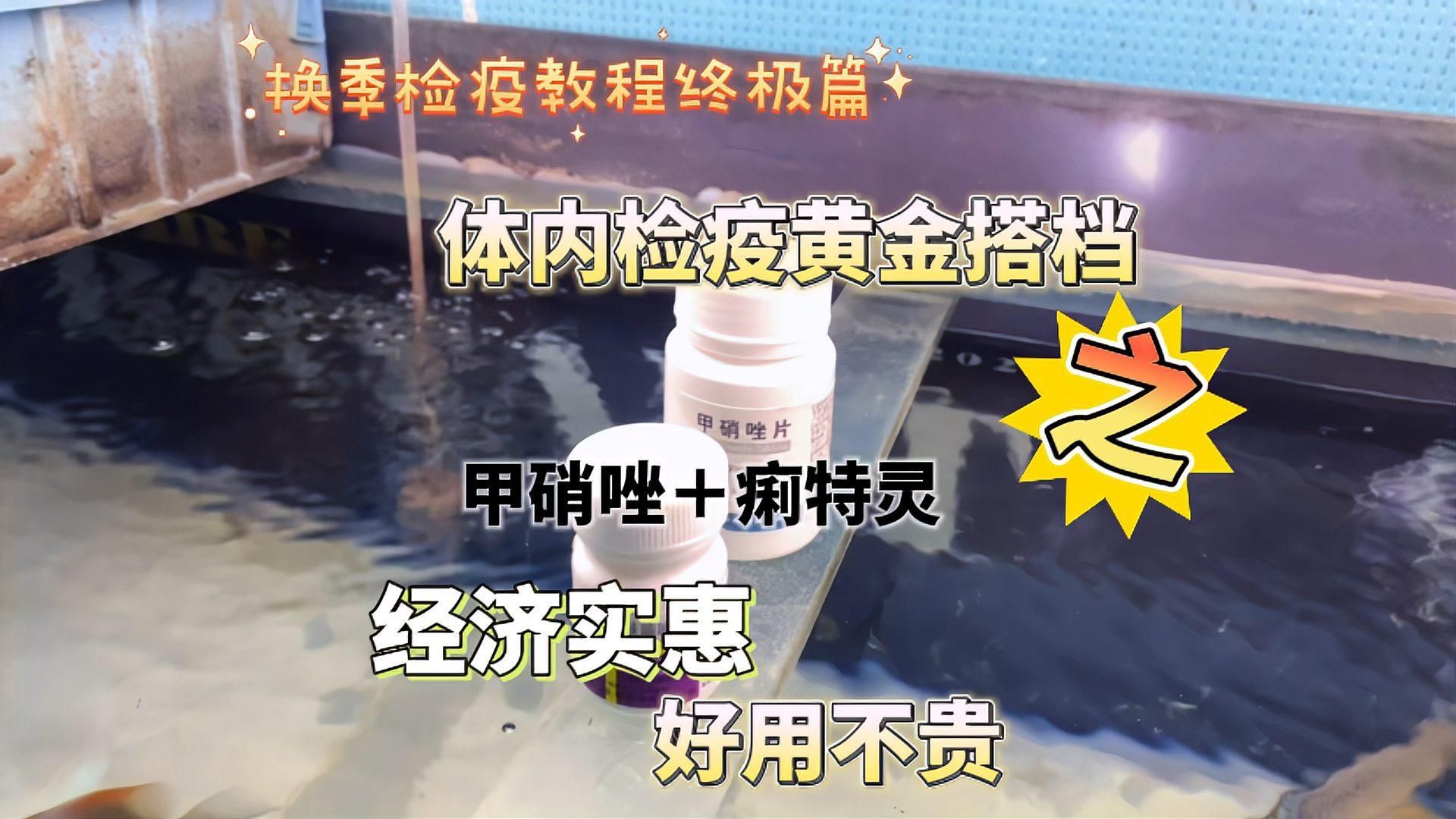 甲硝唑能直接扔魚缸嗎，甲硝唑可以直接扔入魚缸嗎