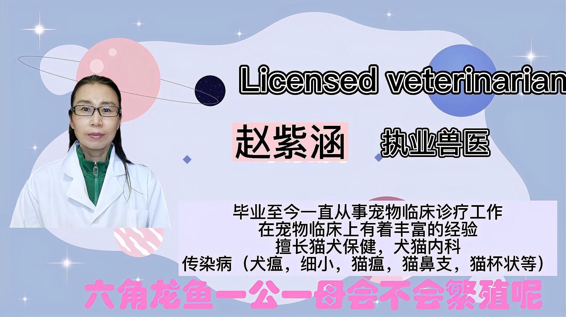 六角龍魚一次能產多少卵，六角龍魚一次能產卵多少卵