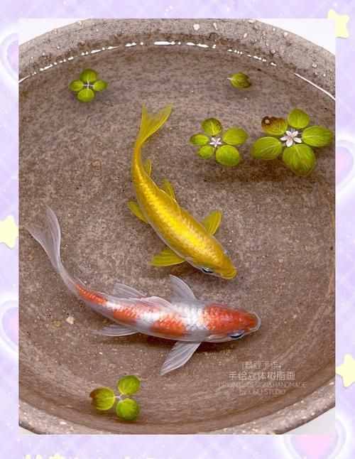 魚擺件有哪些材質選擇，魚擺件有哪些材質選擇，魚擺件有什么特點