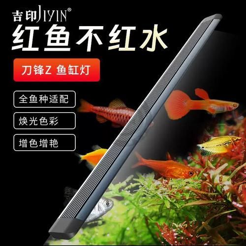 有哪些品牌龍魚燈適合新手使用？，適合新手使用的龍魚燈品牌