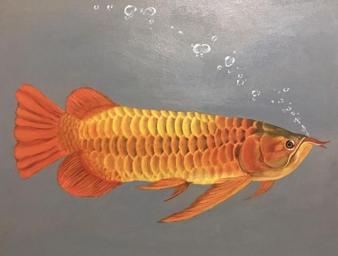 能否提供更多龍魚浮頭藝術作品，能否提供更多龍魚浮頭藝術作品,