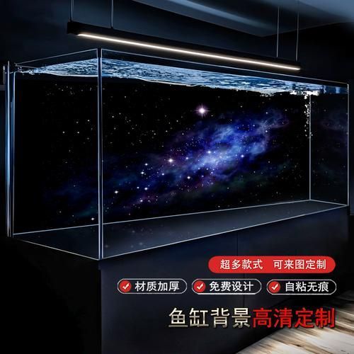 如何預防龍魚病？，龍魚疾病預防