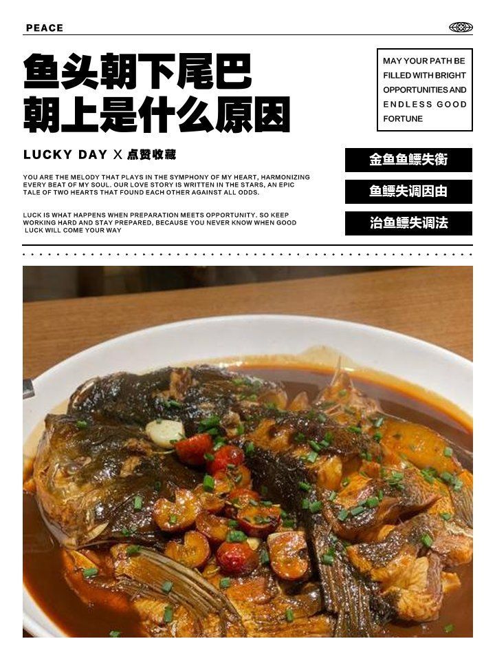 魚頭朝下尾巴朝上多久會死，魚頭朝下尾巴朝上多久會死，魚頭朝下尾巴朝上會死嗎