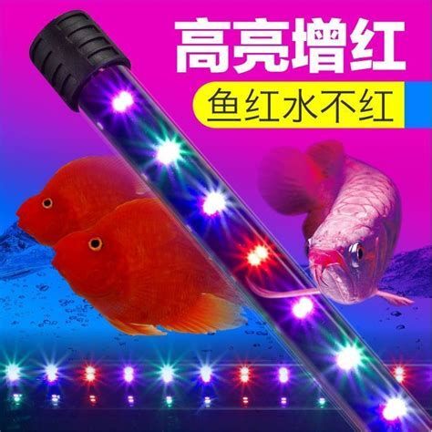 有哪些魚缸燈適合龍魚？，亞洲龍魚缸燈適合龍魚缸燈適合小型缸，增艷效果好