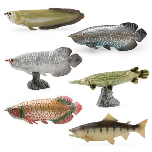 能否提供綦江龍魚的圖片，綦江龍魚有哪些獨特特征？