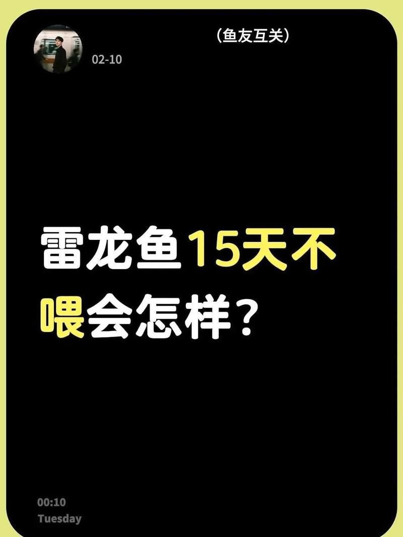 龍魚不吃飼料會有什么后果