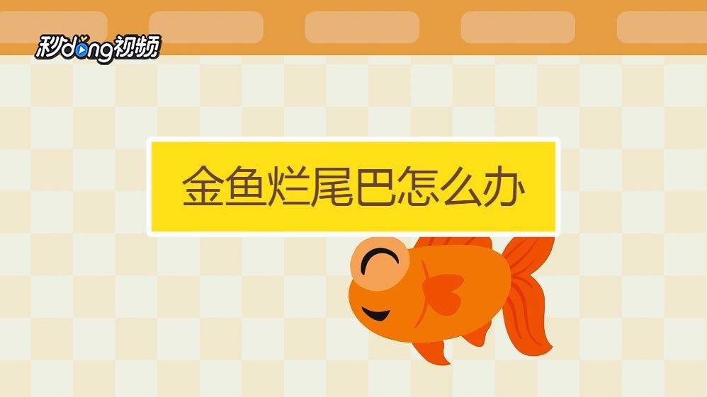 金魚爛尾后如何護理，金魚爛尾后如何護理,金魚爛尾巴治療簡易法寵托師可兒