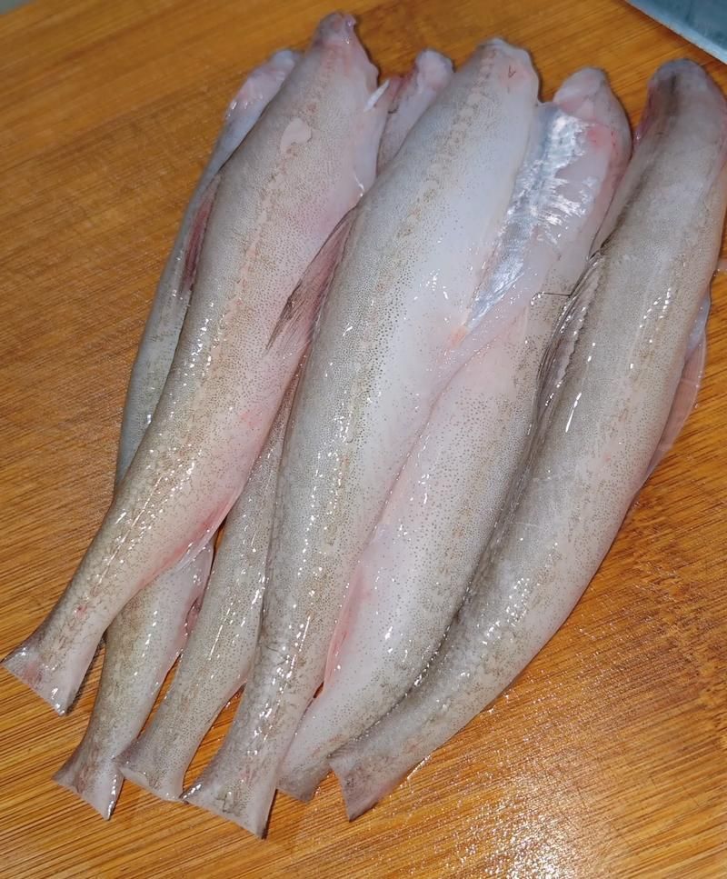 小白龍魚有哪些營養價值？，小白龍魚是什么魚