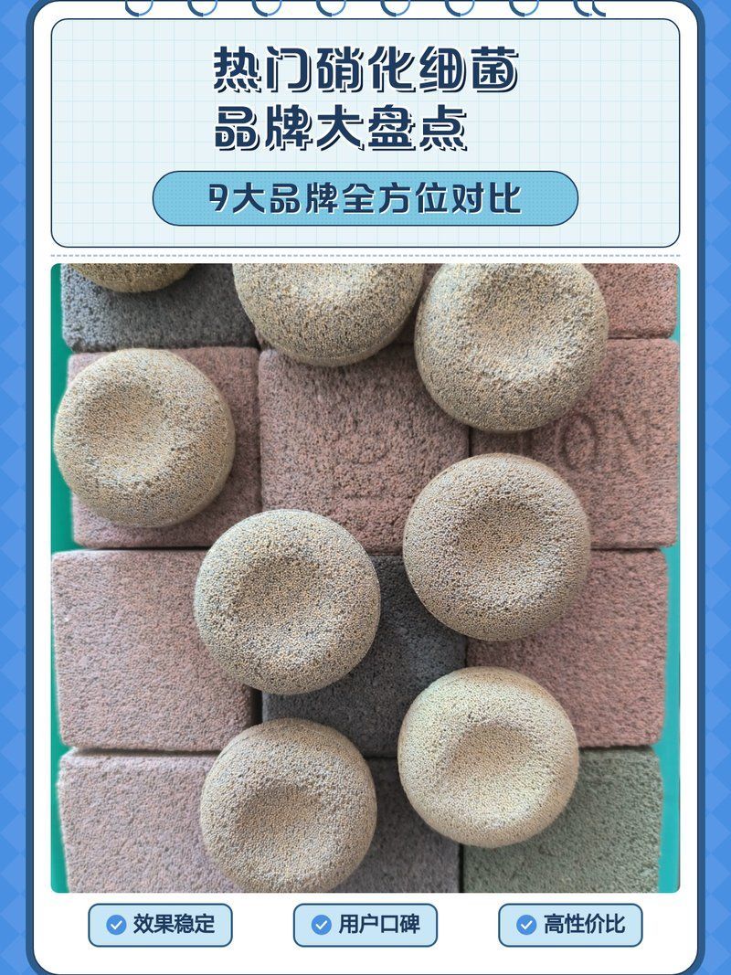 推薦幾款性價比高的龍魚硝化菌產品，性價比較高的龍魚硝化菌產品推薦95年瀚海男李濤濤