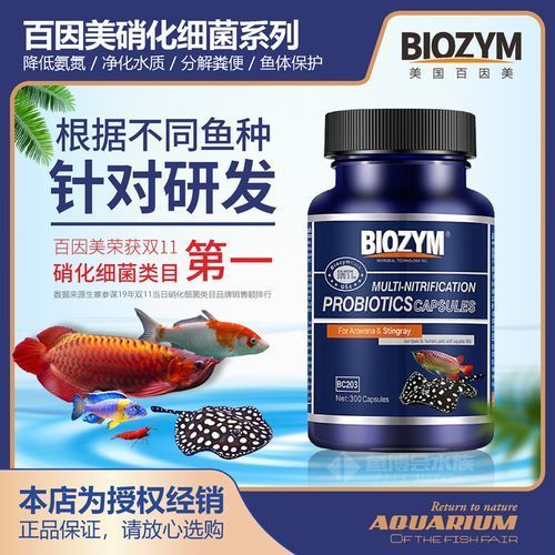 推薦幾款性價比高的龍魚硝化菌產品，性價比較高的龍魚硝化菌產品推薦95年瀚海男李濤濤