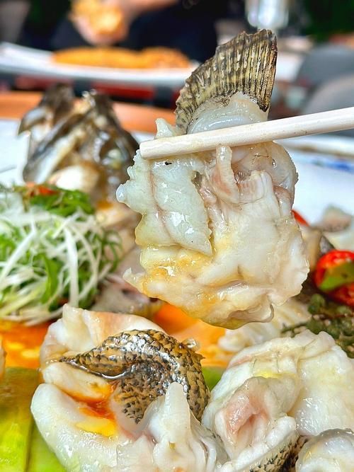榕江龍魚的最佳烹飪方法是什么？，榕江龍魚的最佳烹飪方法