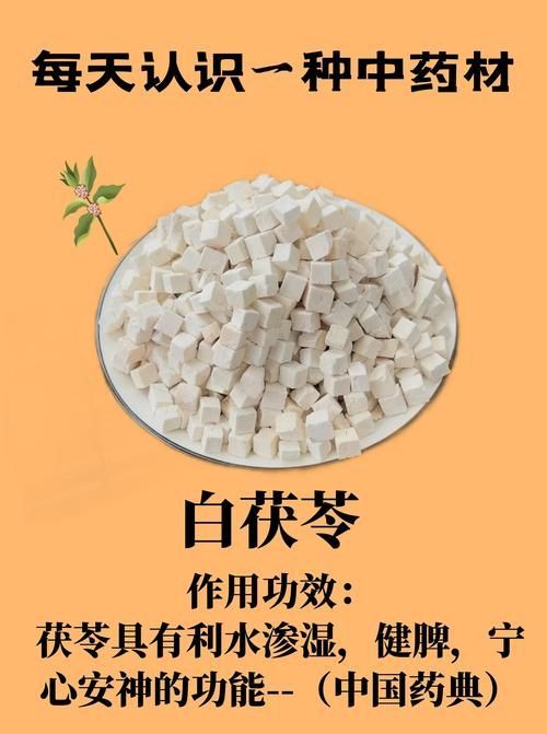 有哪些中草藥可以預防腹水病，中草藥可以預防腹水預防腹水病共個工具