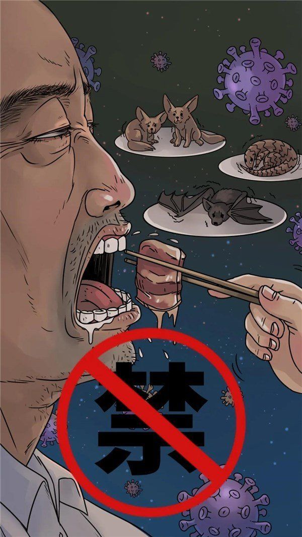 有哪些食物是龍魚炸鱗后可以安全食用的？，龍魚炸鱗可以安全食用嗎？
