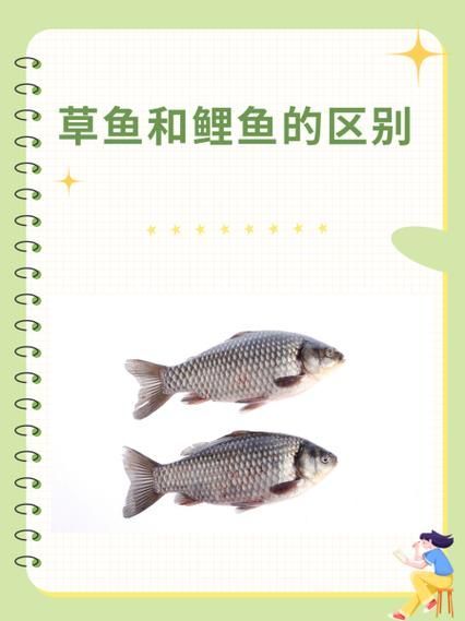 如何預(yù)防魚類腸炎，arxiv論文助手預(yù)防魚類腸炎思考完成arxiv論文助手