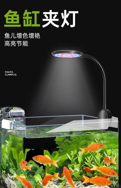 有哪些龍魚燈品牌推薦?,龍魚燈品牌推薦