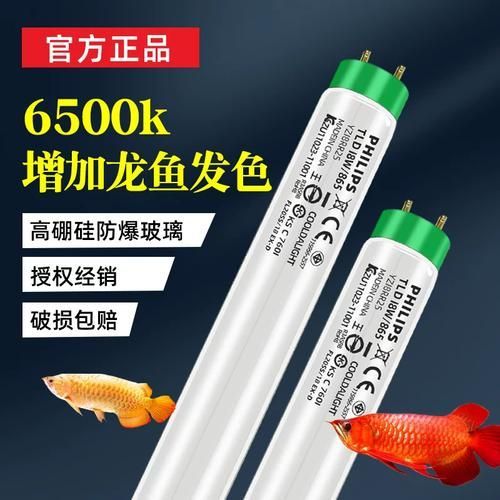 如何選擇適合龍魚的燈管？，養(yǎng)龍魚，燈光不是點綴，而是“發(fā)色引擎”,