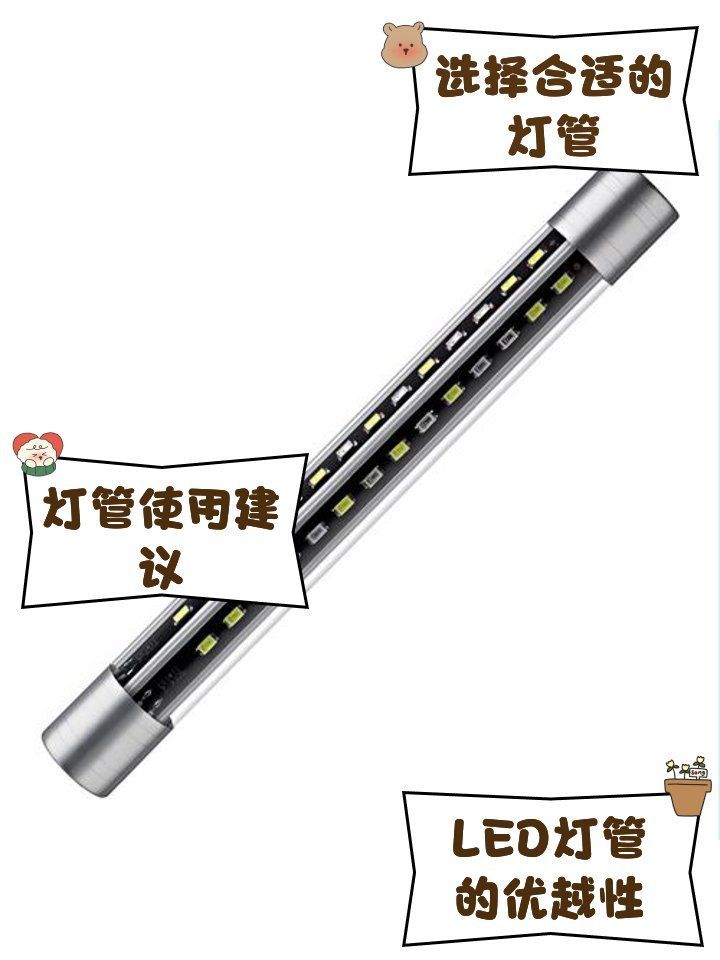 如何選擇適合龍魚的燈管？，養(yǎng)龍魚，燈光不是點綴，而是“發(fā)色引擎”,
