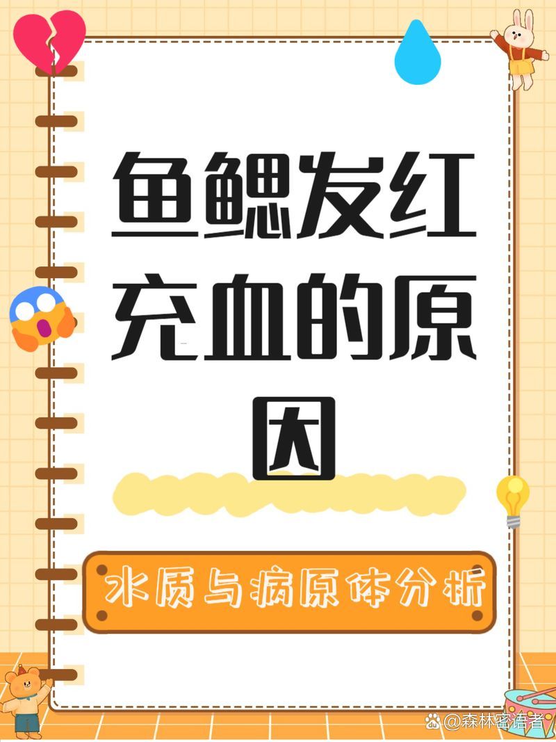 魚鰓充血如何治療，如何判斷魚鰓充血的原因