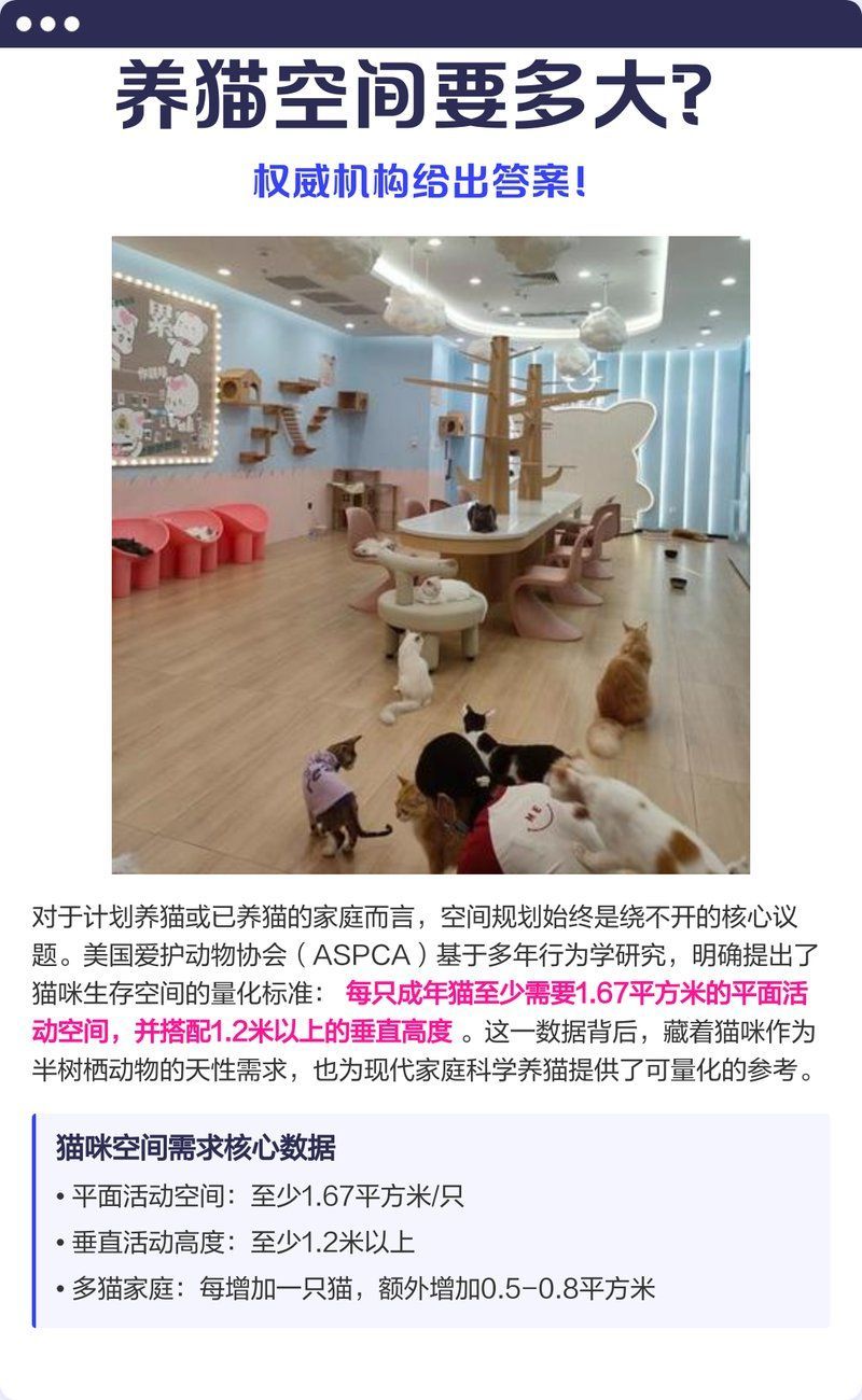 如何計算養魚和養貓的實際空間需求，養貓和養貓的實際空間需求計算是確保寵物健康與幸福的關鍵步驟