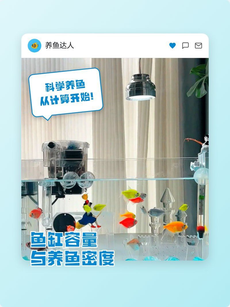 如何計算養魚和養貓的實際空間需求，養貓和養貓的實際空間需求計算是確保寵物健康與幸福的關鍵步驟