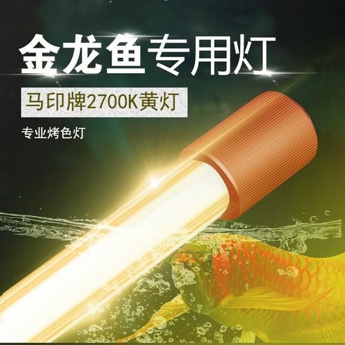 龍魚發色專用燈有哪些型號推薦？，龍魚發色專用燈哪個品牌最好