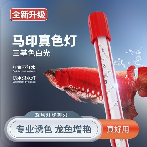 龍魚發色專用燈有哪些型號推薦？，龍魚發色專用燈哪個品牌最好