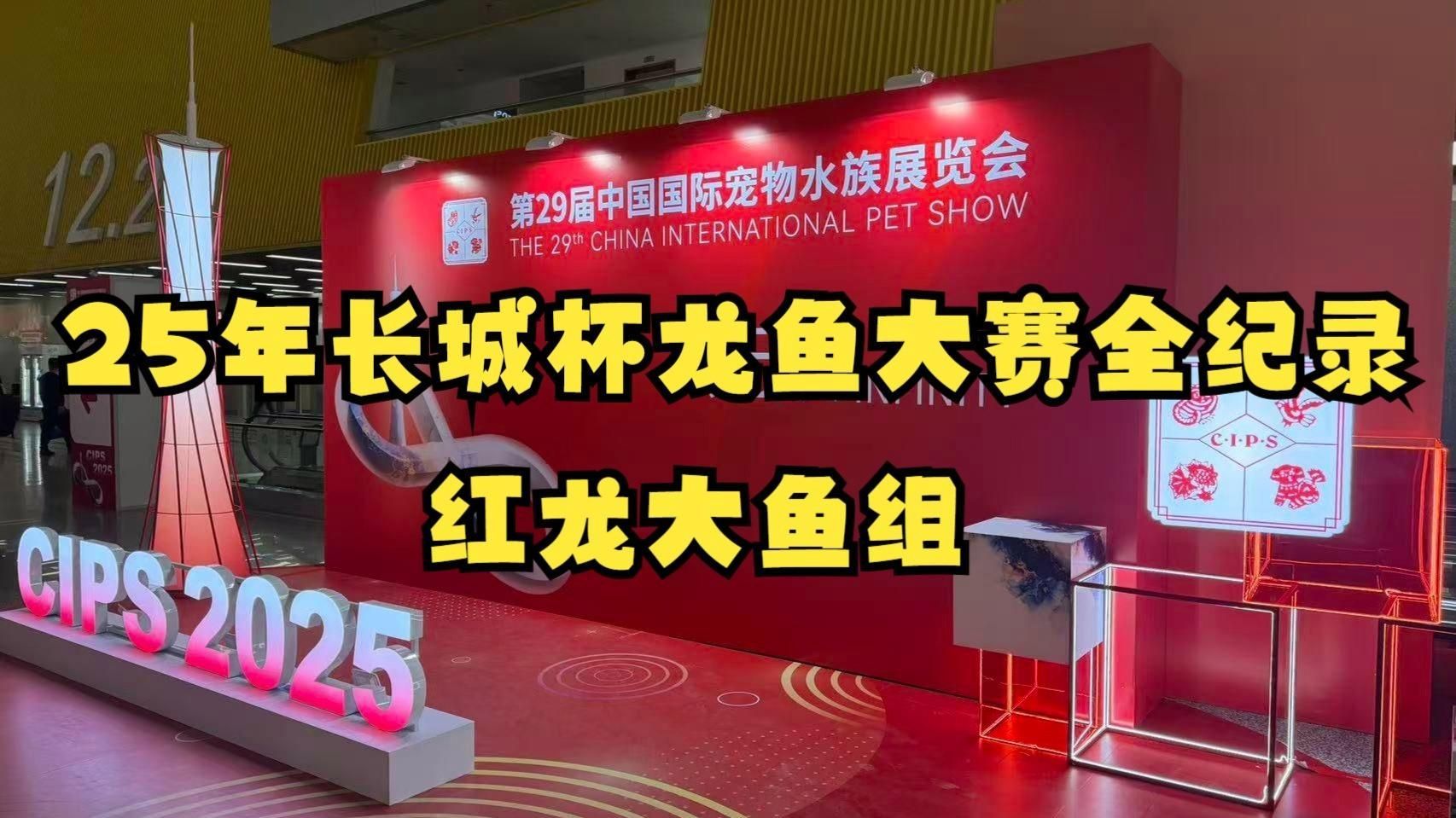 2025年龍魚大賽的評審標準有哪些，2025年長城杯2025年長城杯龍魚大賽評審標準