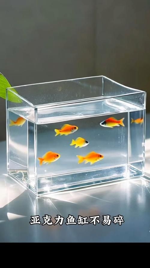 有沒有魚缸形狀的圖片示例，魚缸形狀的圖片示例：魚缸形狀的圖片示例