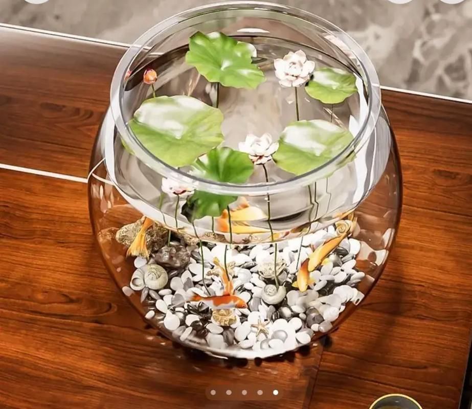 有沒有魚缸形狀的圖片示例，魚缸形狀的圖片示例：魚缸形狀的圖片示例