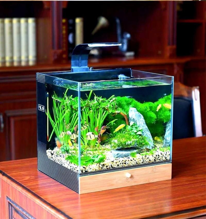 有沒有魚缸形狀的圖片示例，魚缸形狀的圖片示例：魚缸形狀的圖片示例