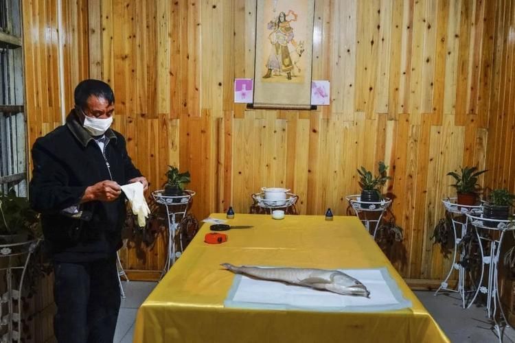 龍魚病死對主人好嗎有哪些具體案例，龍魚死亡對主人好嗎，龍魚病死對主人好嗎