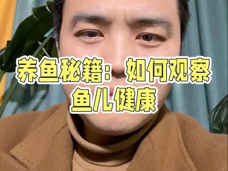 如何判斷魚類是否健康，如何判斷魚類是否健康，