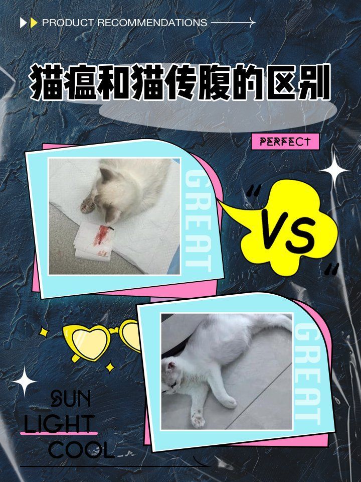 如何區分傳染性的大肚子病，傳染性“大肚子病”通常指的是由病毒、細菌或寄生蟲引起的腸道感染