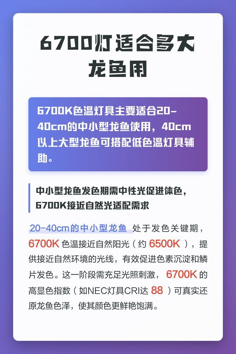 6700K燈不適合哪些龍魚品種，6700k燈適合哪些龍魚