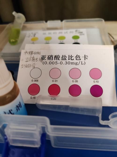 如何檢測魚缸水中的致病細菌
