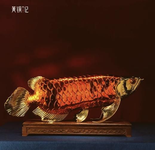 給我一些泗水龍魚的裝飾物搭配案例,泗水龍魚的裝飾物搭配