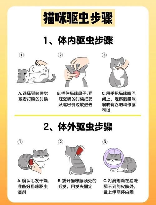 預防性驅蟲的具體步驟是什么，伊麗莎白圈預防性驅蟲是確保寵物健康的重要措施并有多重要