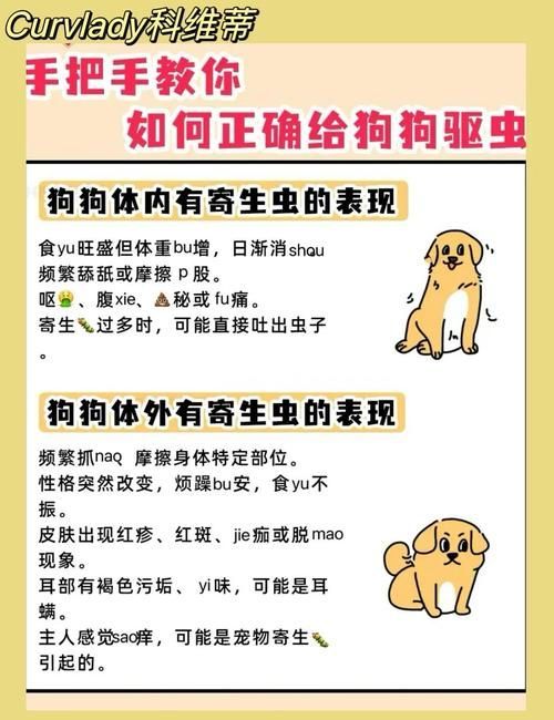 預防性驅蟲的具體步驟是什么，伊麗莎白圈預防性驅蟲是確保寵物健康的重要措施并有多重要