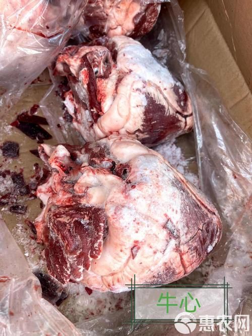 龍魚吃牛心后有哪些正常反應(yīng)？，龍魚吃牛心后多久會排泄？