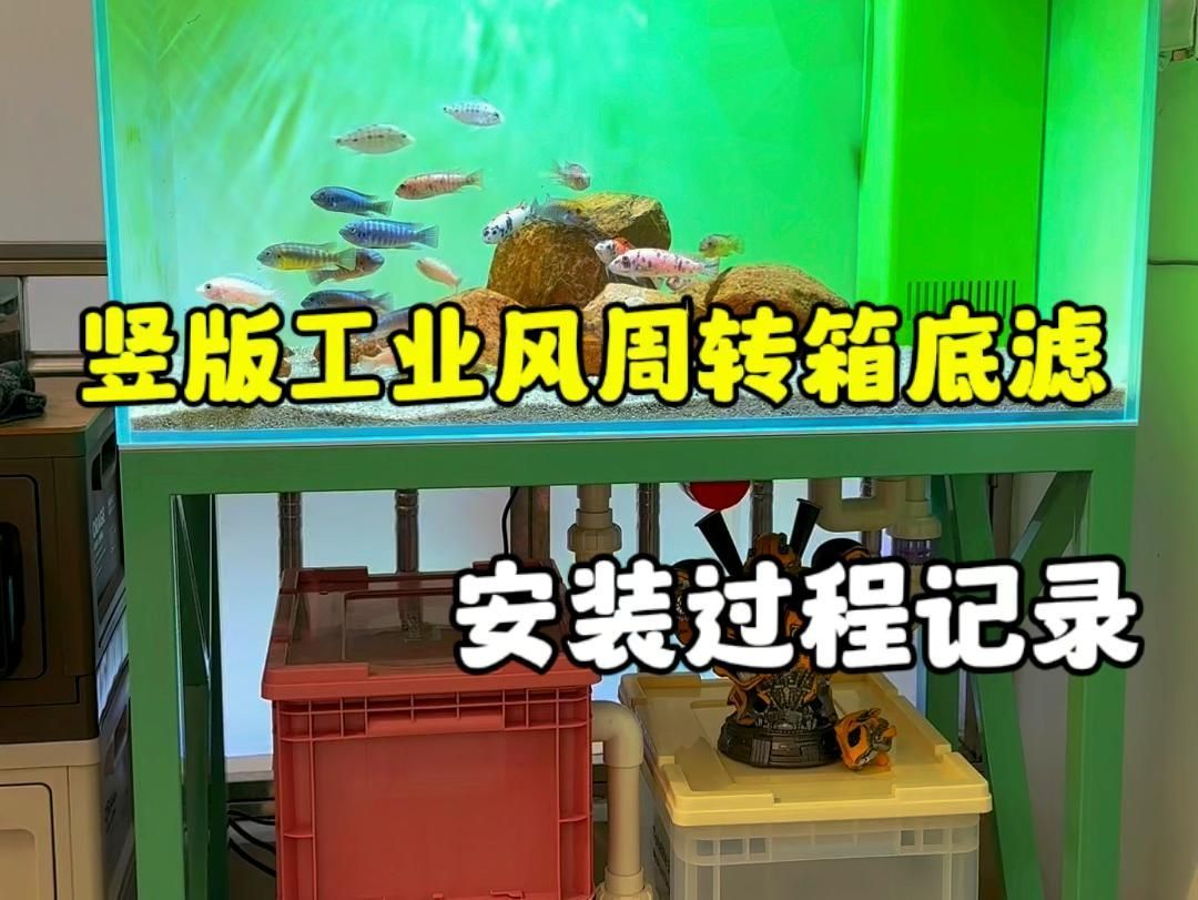 底濾系統如何安裝，底濾系統安裝步驟