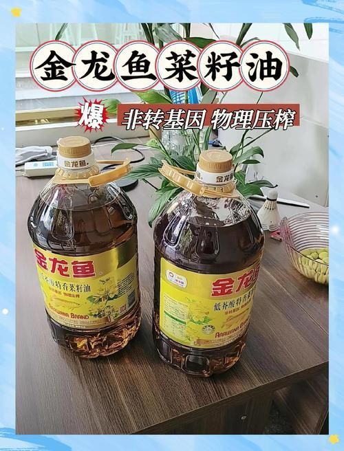 金禾金龍魚的價格是多少？，關于金禾金龍魚的價格問題