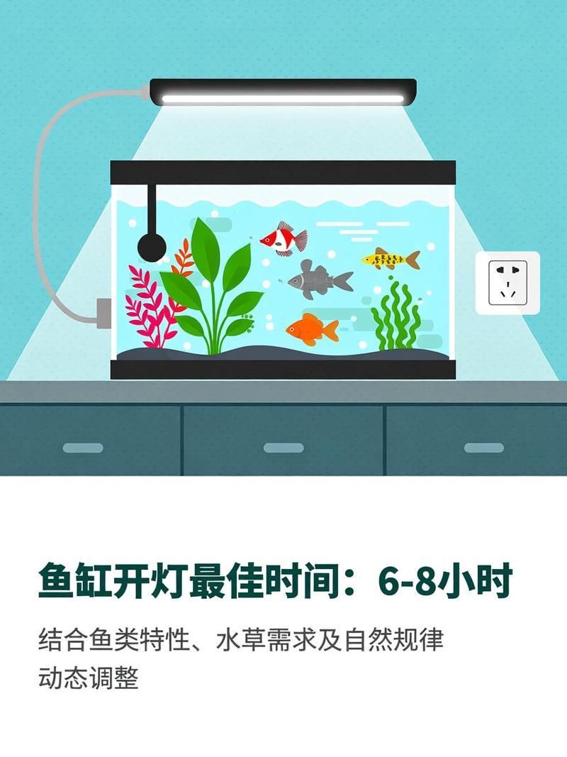 龍魚缸開燈時間多久合適，龍魚缸開燈時間多久合適龍魚缸開燈時間多久合適