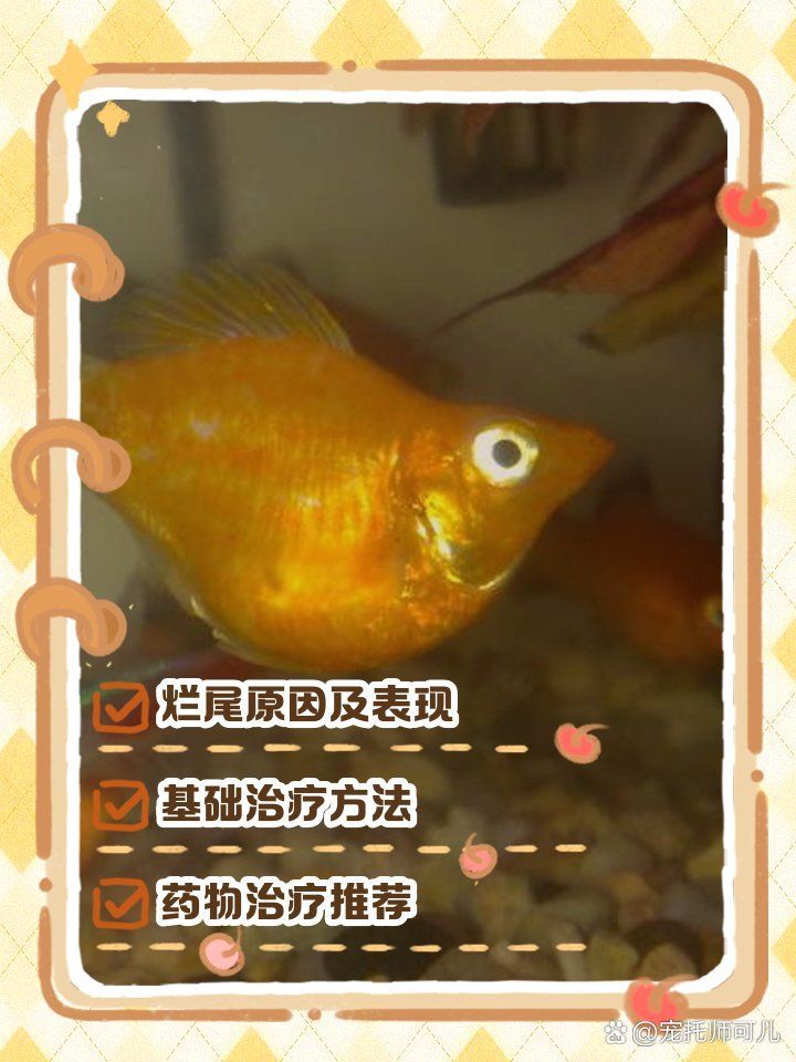 哪種藥物治療魚爛尾最有效，選擇藥物治療魚爛尾時需要考慮以下幾個因素