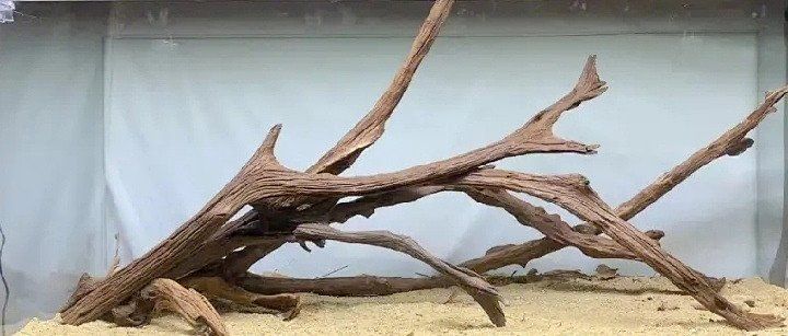 給我推薦一些適合龍魚的沉木和巖石，如何挑選龍魚缸