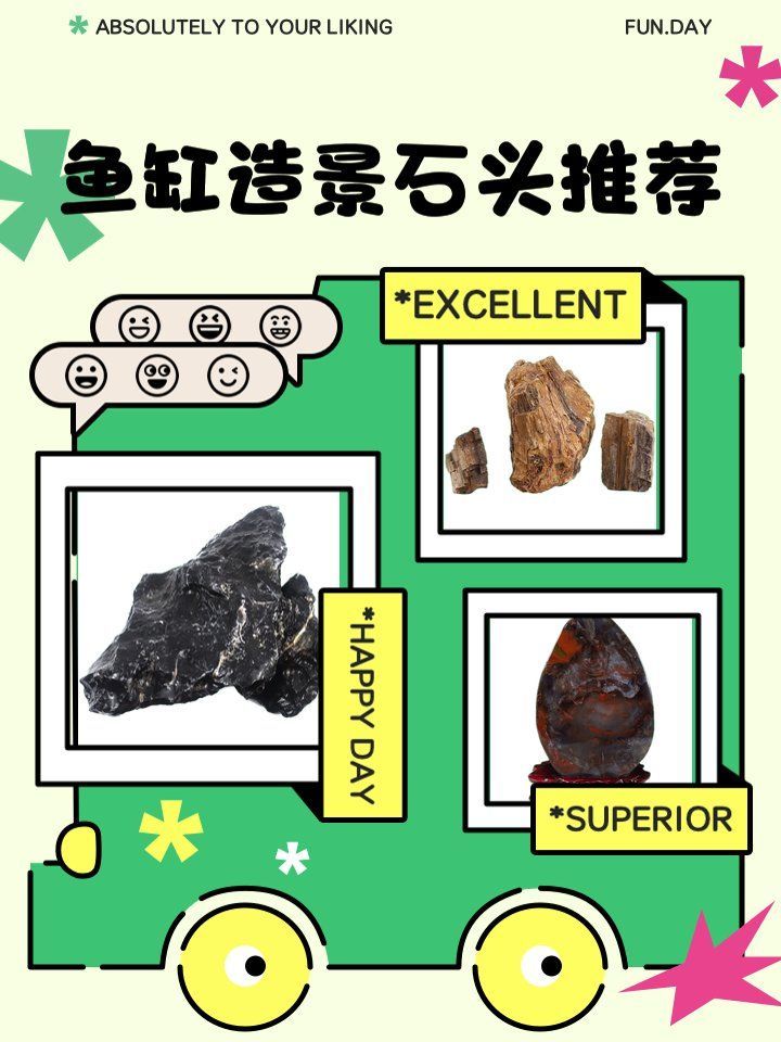 給我推薦一些適合龍魚的沉木和巖石，如何挑選龍魚缸