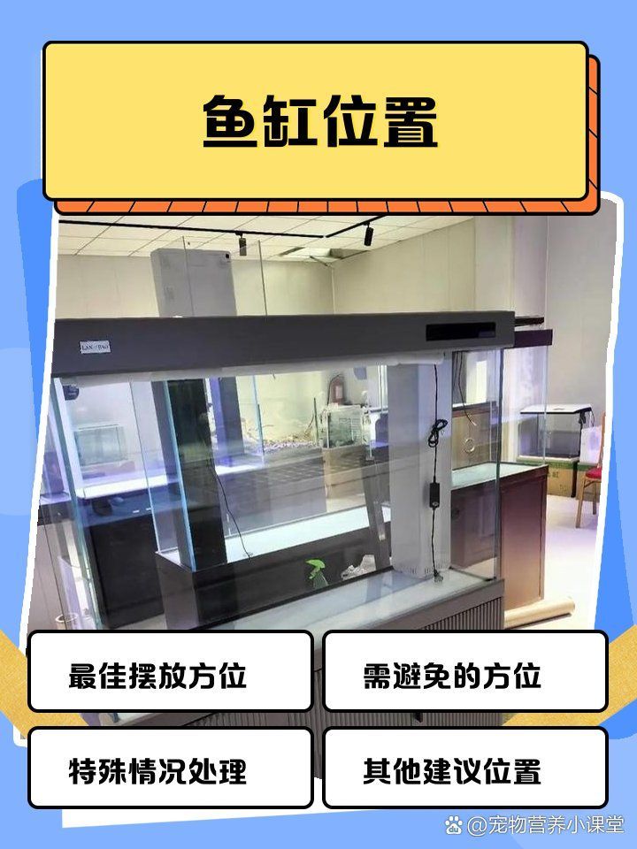 如何判斷龍魚缸是否擺放正確，如何判斷龍魚缸是否擺放正確，