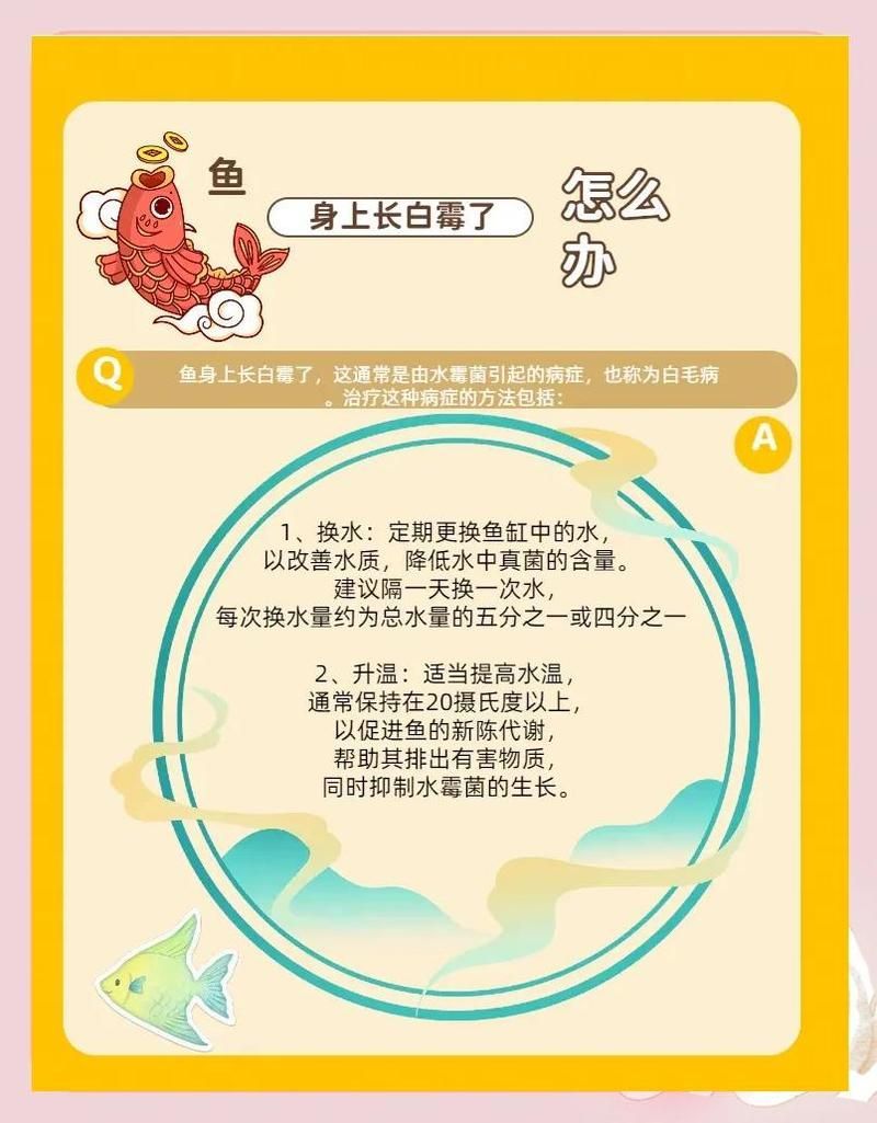 魚缸里有真菌怎么處理